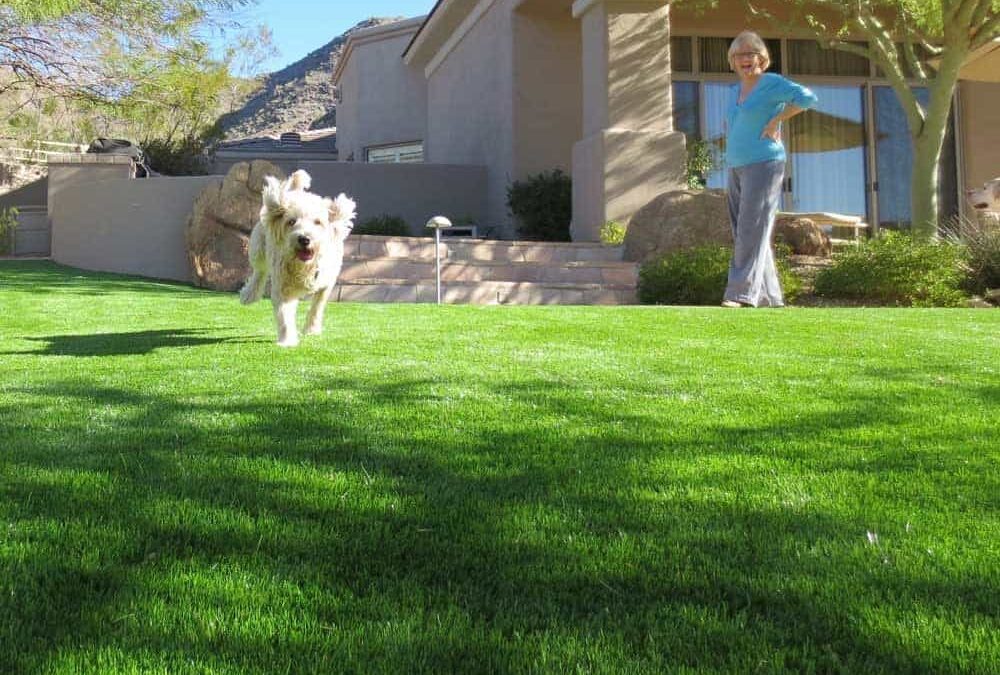 Book your FREE synthetic grass estimate