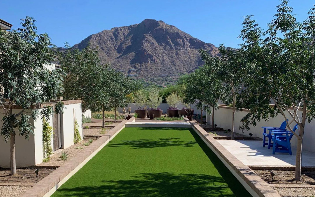 Commercial Artificial Grass in Phoenix, AZ