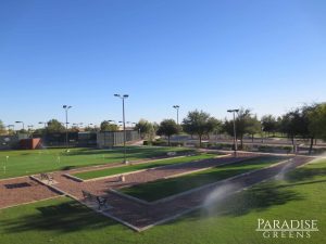 artificial turf bocce ball courts