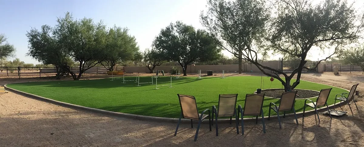 pet run artificial grass lawn