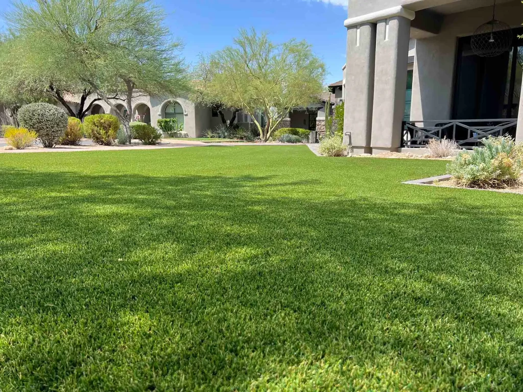 residential backyard artificial grass lawn