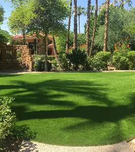 residential artificial grass lawn in Phoenix, AZ