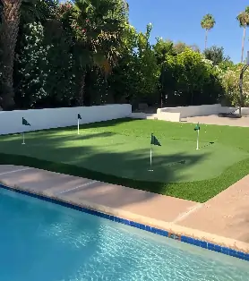 residential backyard putting green