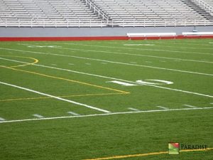 synthetic turf fields