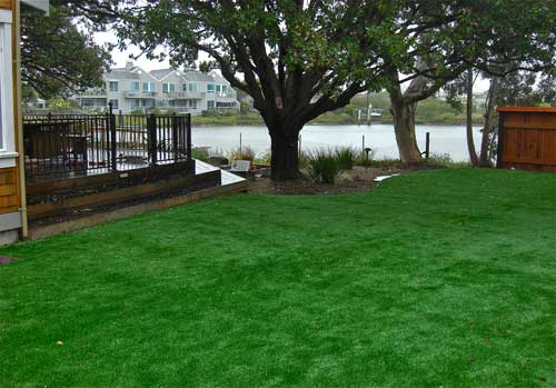 artificial grass innovation