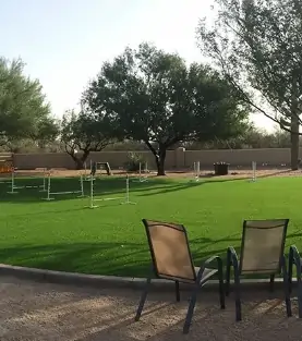 artificial pet lawn