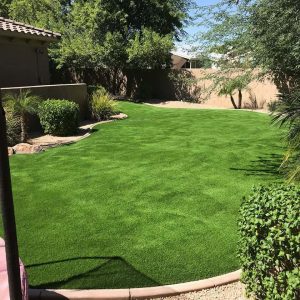 beautiful artificial grass