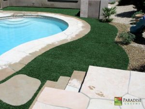 artificial grass benefits pets