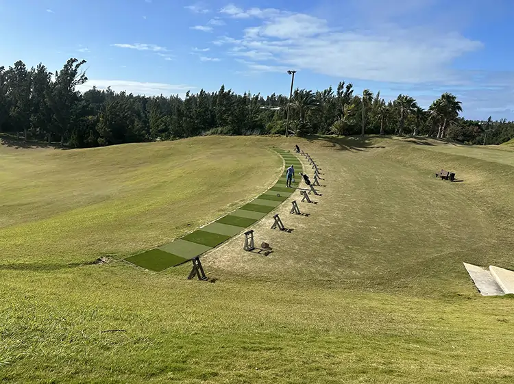 Artificial grass teeline from Paradise Greens