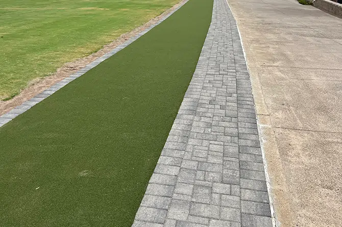 Teeline installed by Paradise Greens