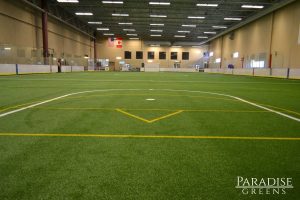 synthetic grass indoors